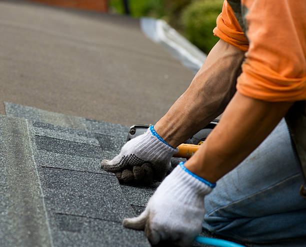 Best Storm Damage Roof Repair  in French Lick, IN